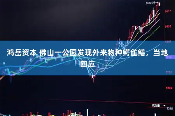 鸿岳资本 佛山一公园发现外来物种鳄雀鳝，当地回应