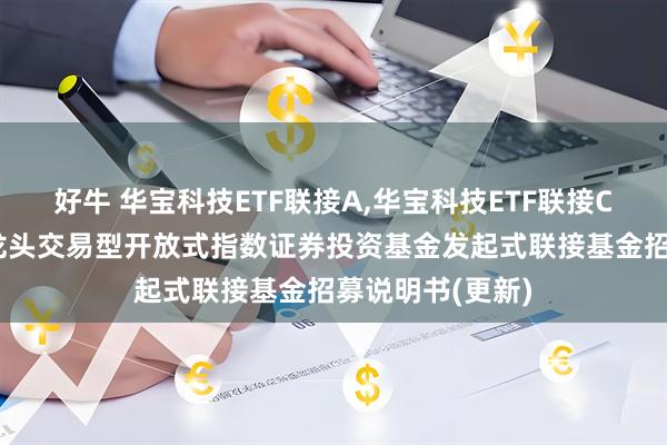 好牛 华宝科技ETF联接A,华宝科技ETF联接C 华宝中证科技龙头交易型开放式指数证券投资基金发起式联接基金招募说明书(更新)