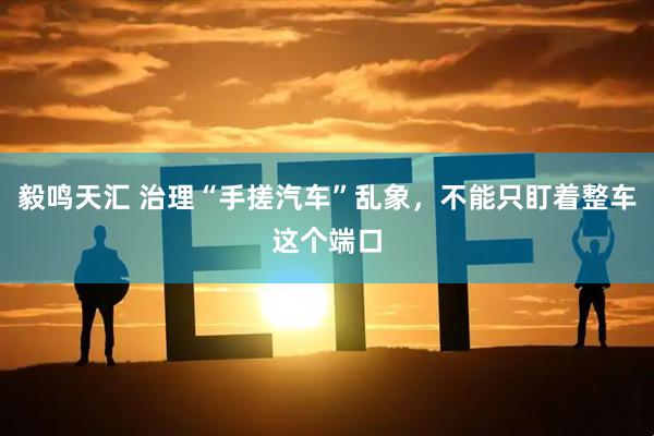 毅鸣天汇 治理“手搓汽车”乱象，不能只盯着整车这个端口