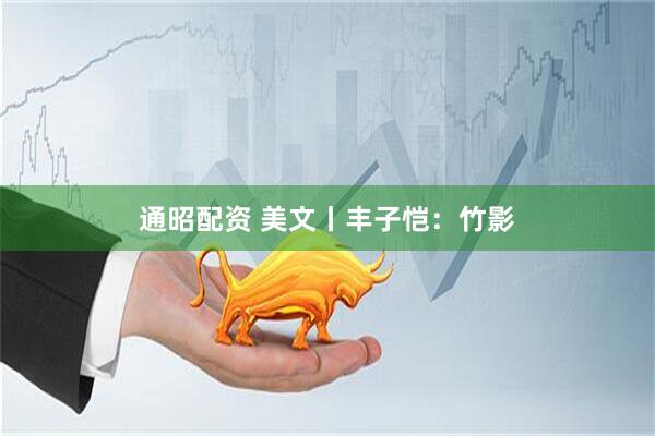 通昭配资 美文丨丰子恺：竹影